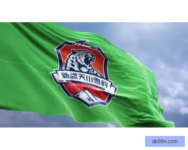 以新疆球员巴力回应质疑自称未踢假球但承认收受六万三不当钱款